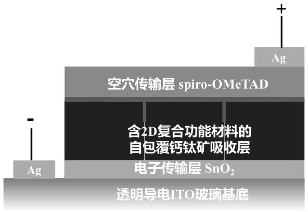 一种含2D复合功能材料的自包覆钙钛矿吸收层及正置结构太阳电池