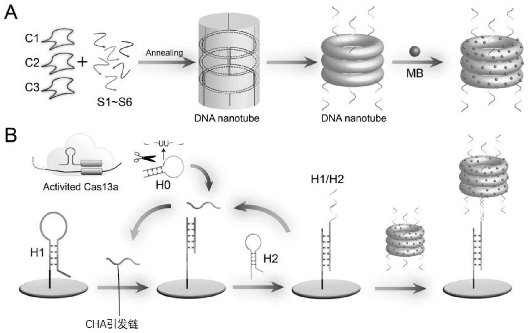 基于框架核酸和CRISPR的电化学传感器对病毒的检测方法