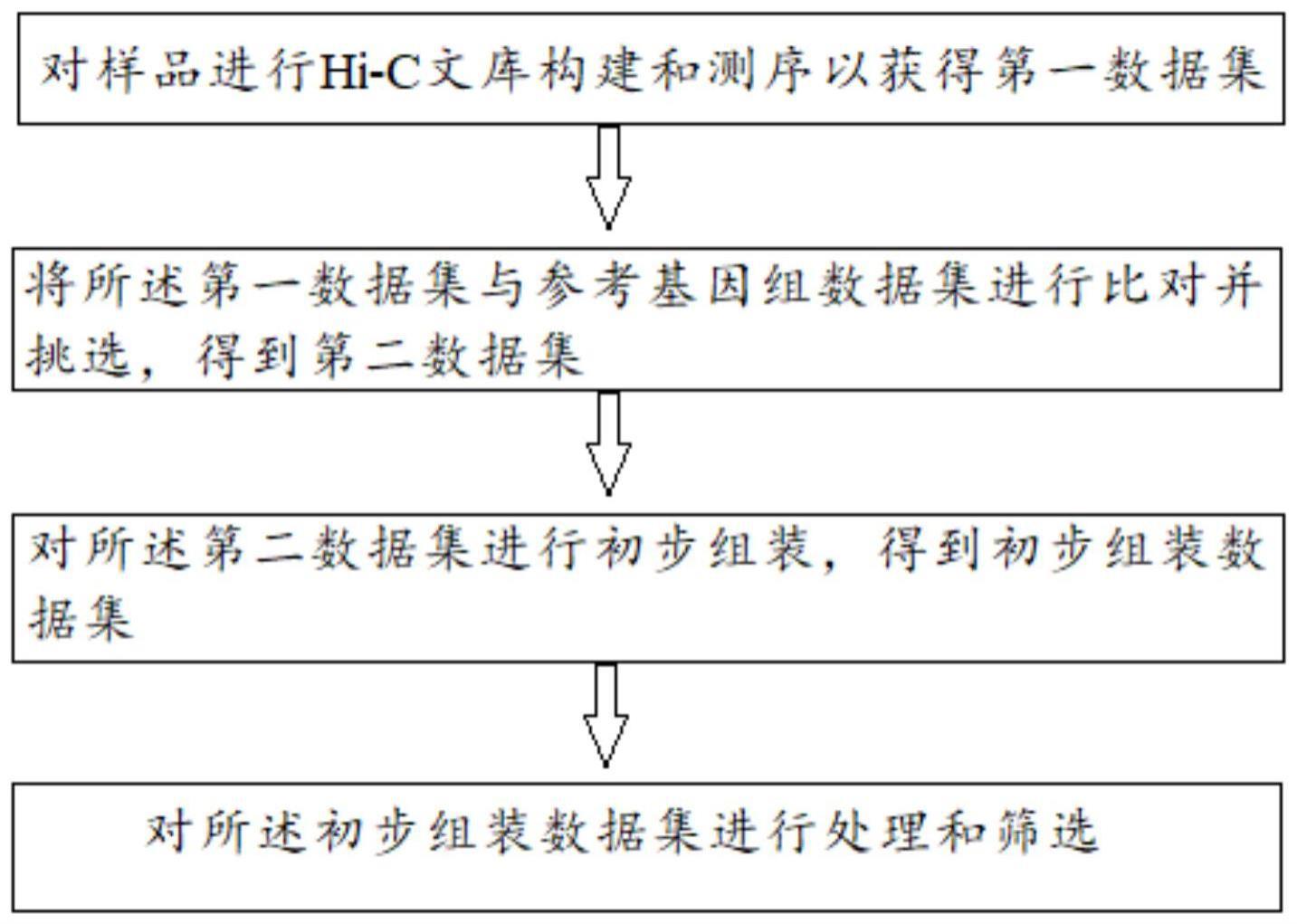 利用Hi-C技术的基因辅助组装方法、染色体水平基因组及应用与流程