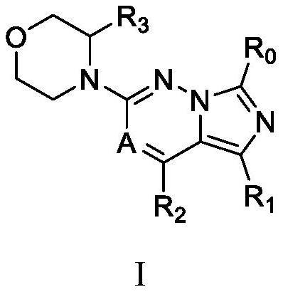 取代的咪唑并[1,5-b]哒嗪化合物作为激酶抑制剂及其应用的制作方法