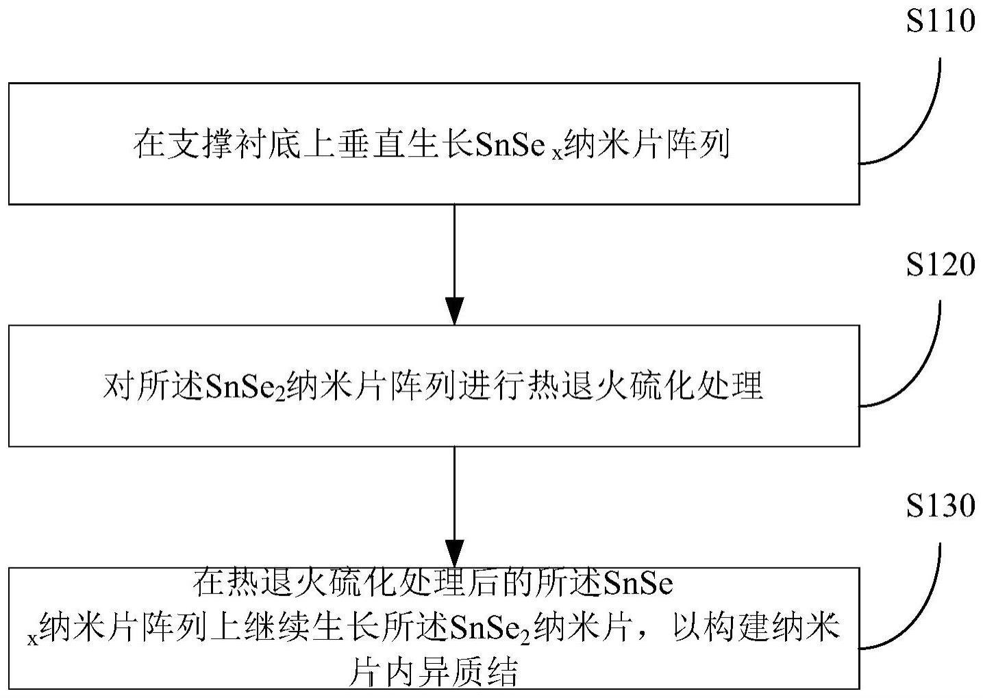 纳米片内SnSe的制作方法