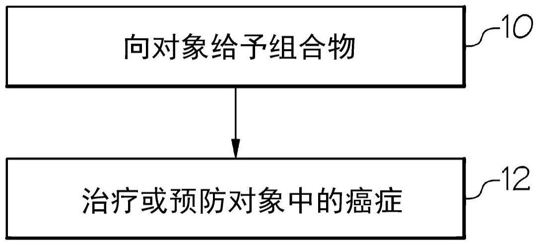 使用结合并抑制RAL相互作用蛋白的小分子治疗癌症