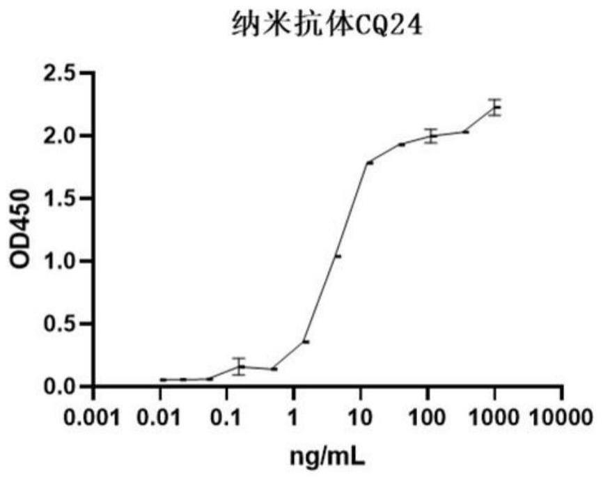 一种抗泌乳素受体的纳米抗体、重组载体、重组菌和应用的制作方法