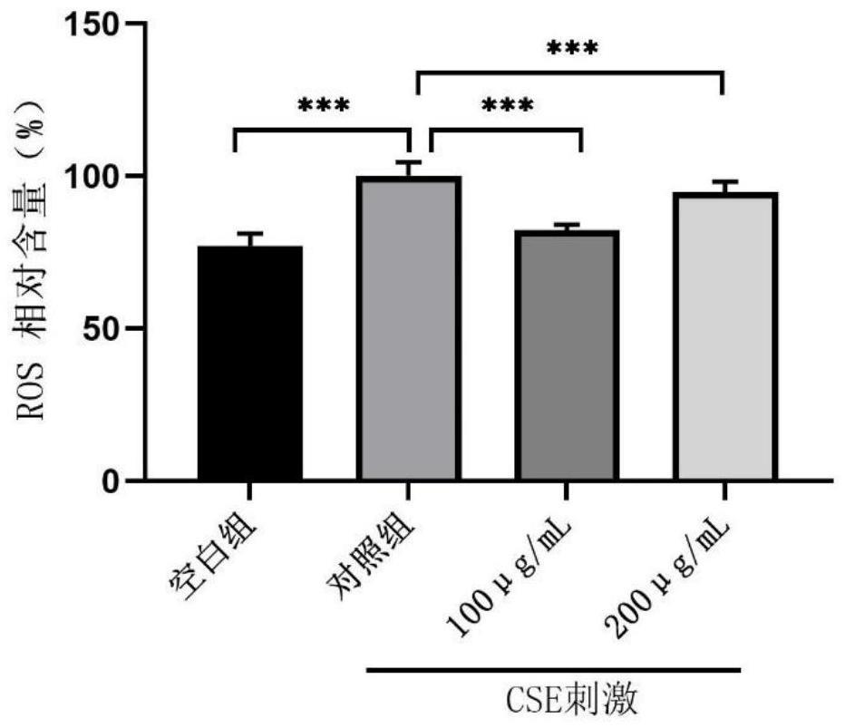 依克多因或其衍生物在预防和/或改善由香烟烟雾引起的牙龈损伤的用途及实现该用途的方法与流程