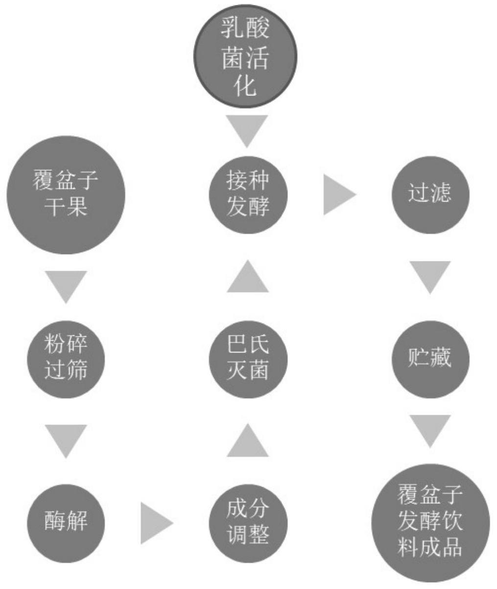 一种改善覆盆子风味的方法及其应用