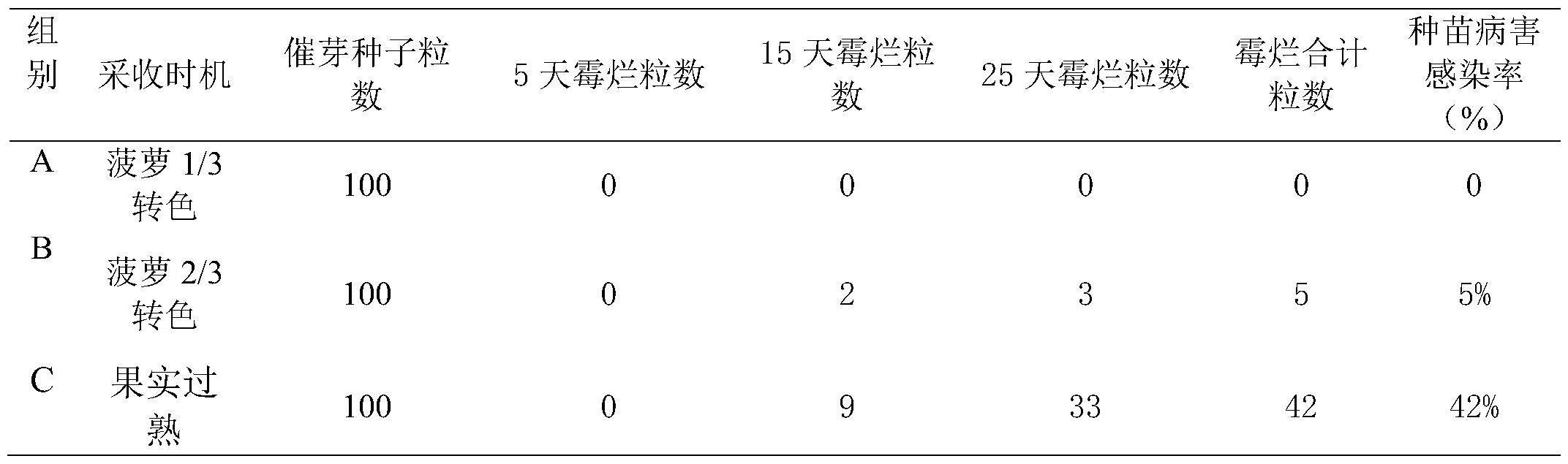 一种综合防控菠萝杂交种苗苗期病害的繁育方法与流程