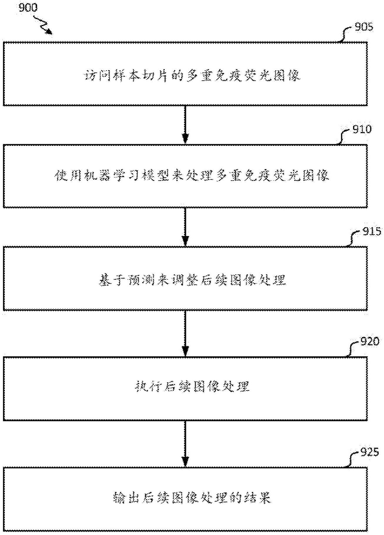 识别多重免疫荧光图像中的自体荧光伪影的制作方法