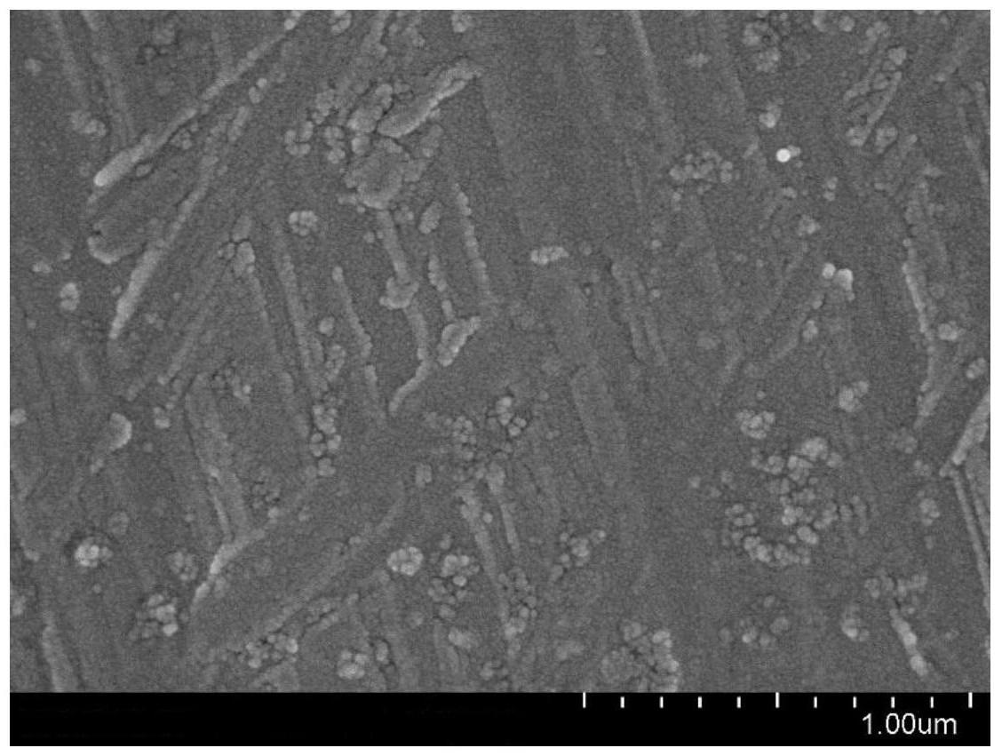 一种DNA甲基化检测的生物传感器及其制备方法和应用与流程