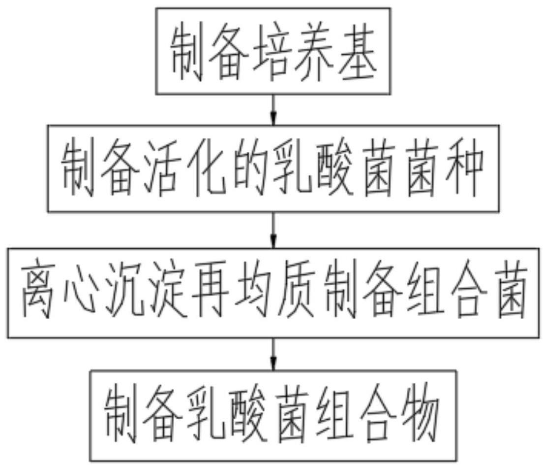 一种治疗过敏皮炎的乳酸菌菌株组合物及其制备方法与流程