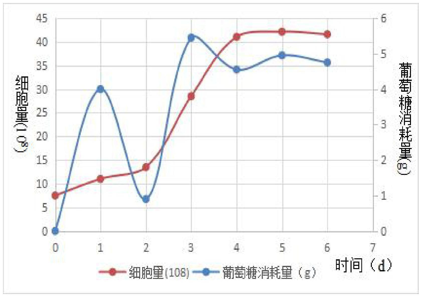 一种片状载体培养人二倍体细胞有效传代的方法