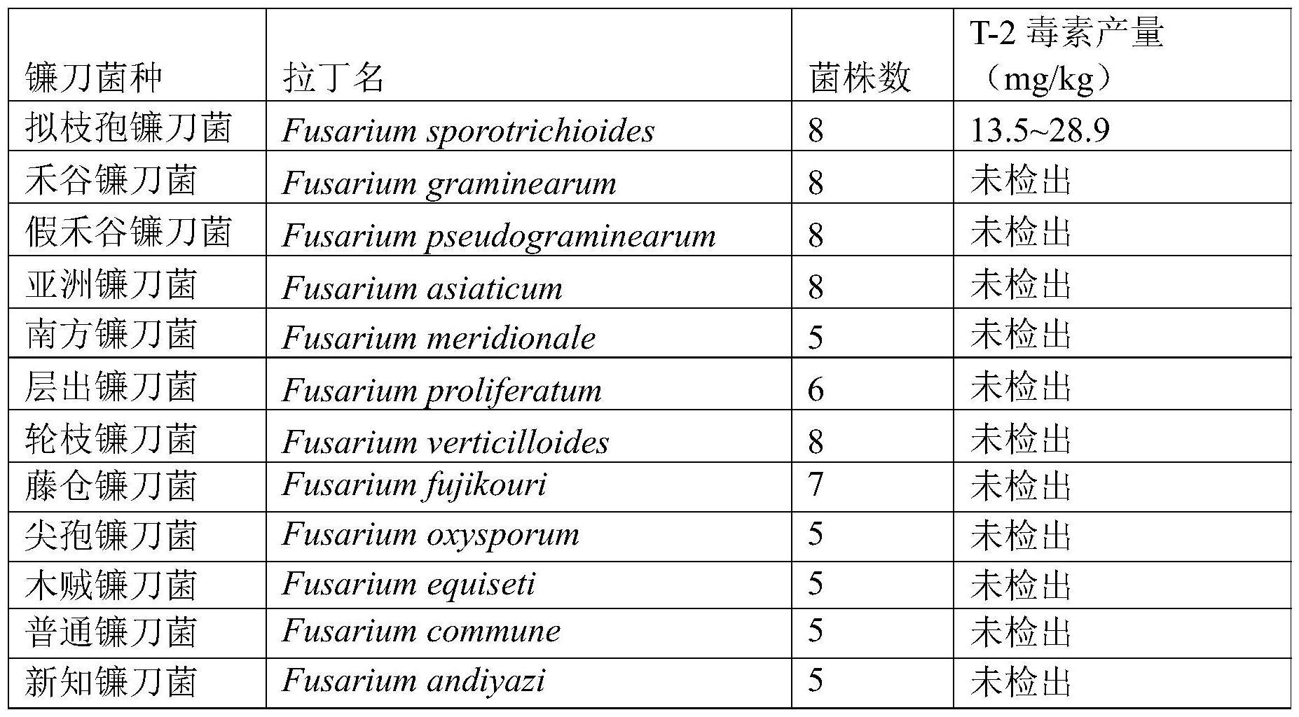 高产T-2毒素的野生菌株、突变株及其用途