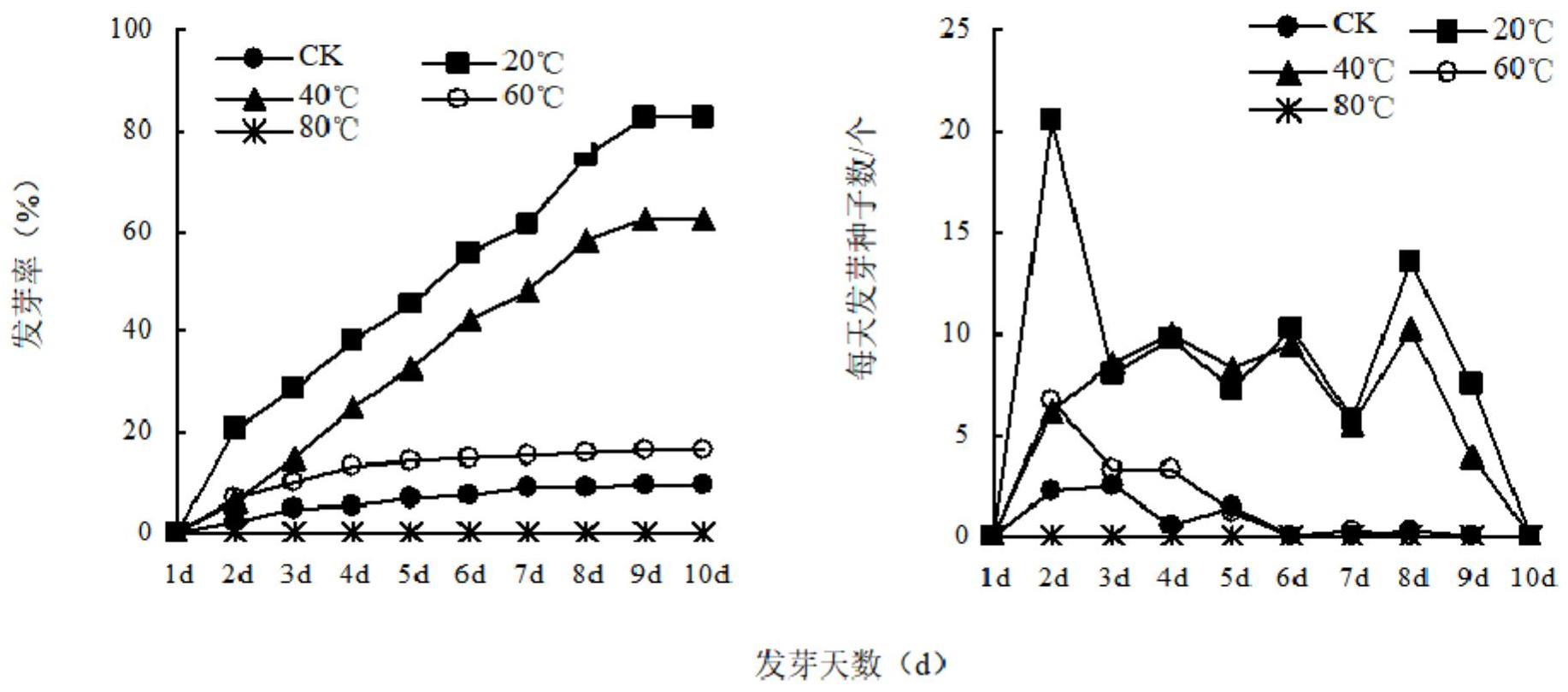 苋菜种子发芽方法