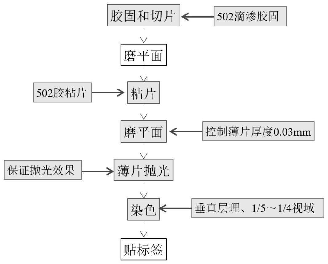 一种多用途型阴极发光薄片的制片方法及应用与流程