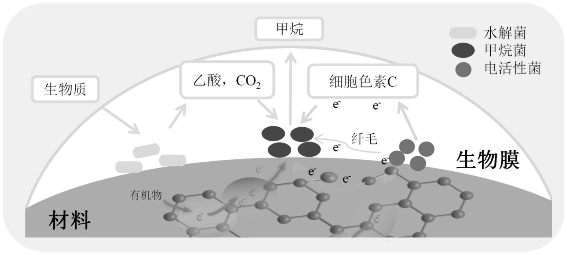 一种表面电子极化生物炭及其制备方法和应用