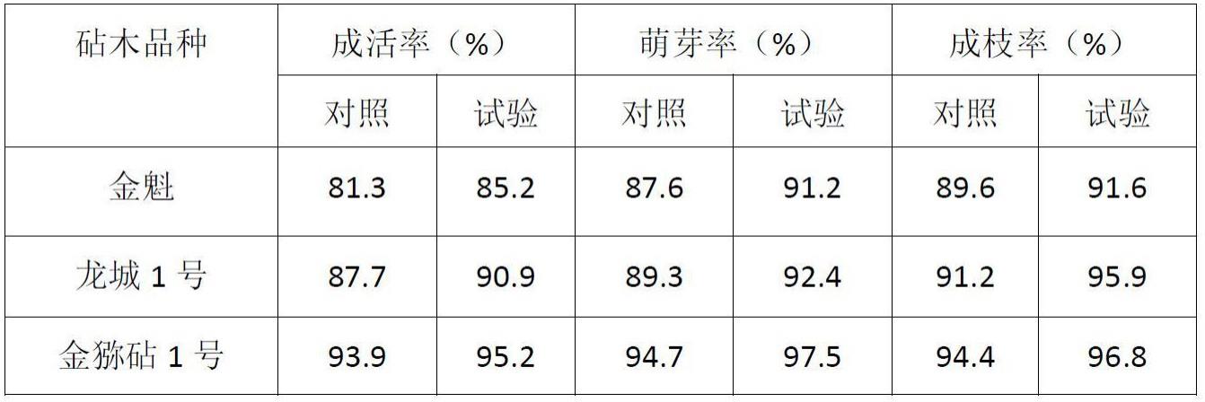 一种软枣猕猴桃的种植方法