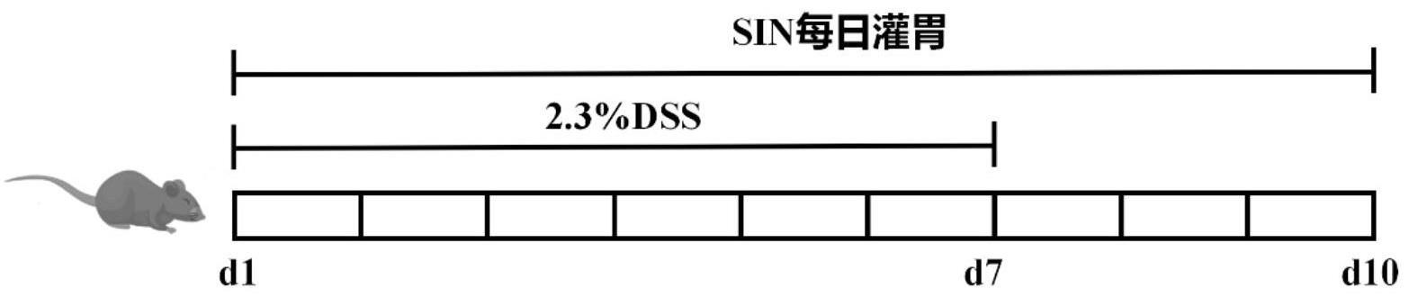 青藤碱在制备治疗溃疡性结肠炎的药物中的用途