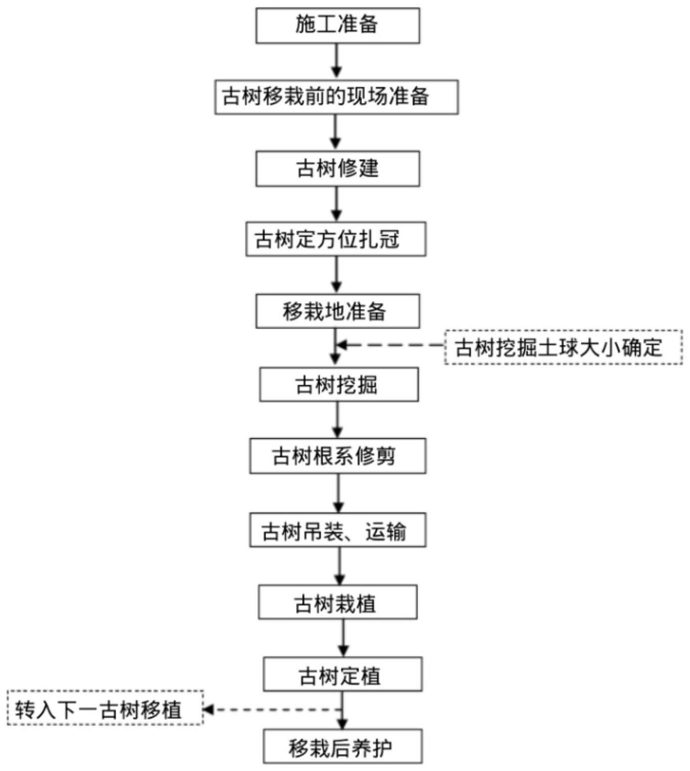 一种古树移栽客土方法与流程