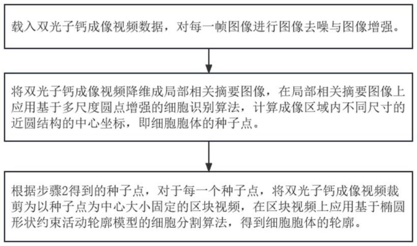 基于双光子钙成像数据的细胞胞体自动识别与分割方法及装置