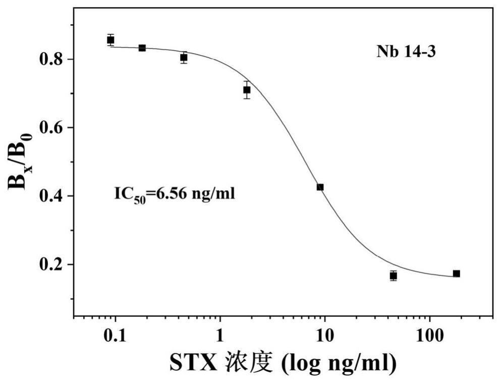 一种石房蛤毒素的纳米抗体及其应用