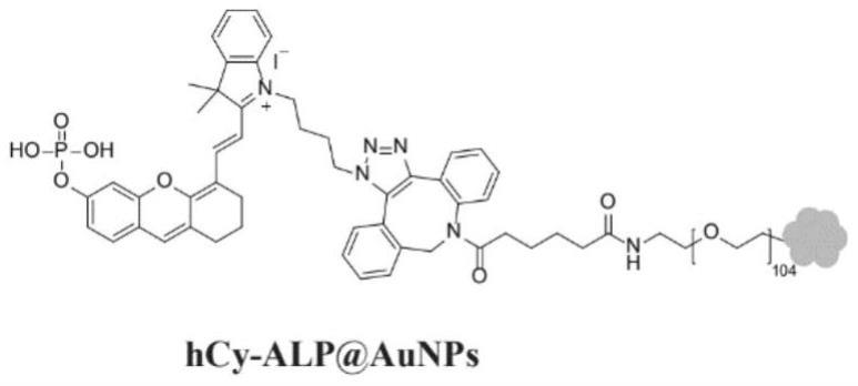 修饰响应碱性磷酸酶荧光分子的金纳米颗粒探针及制备方法