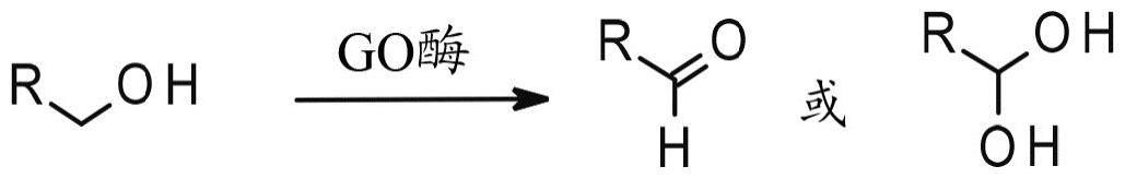 工程化半乳糖氧化酶变体酶的制作方法