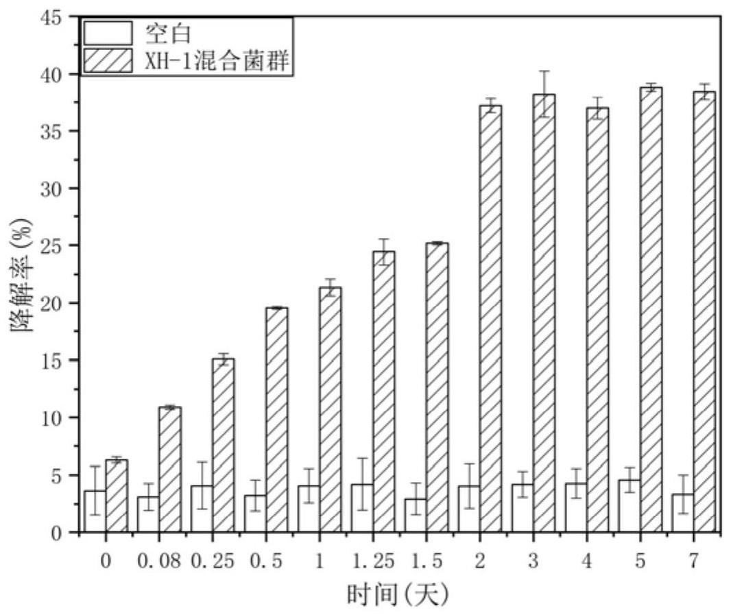 一种菌属复合物及其制备方法和应用