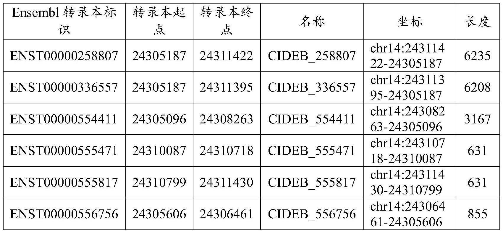 用细胞死亡诱导DFFA样效应B(CIDEB)抑制剂治疗肝病的制作方法