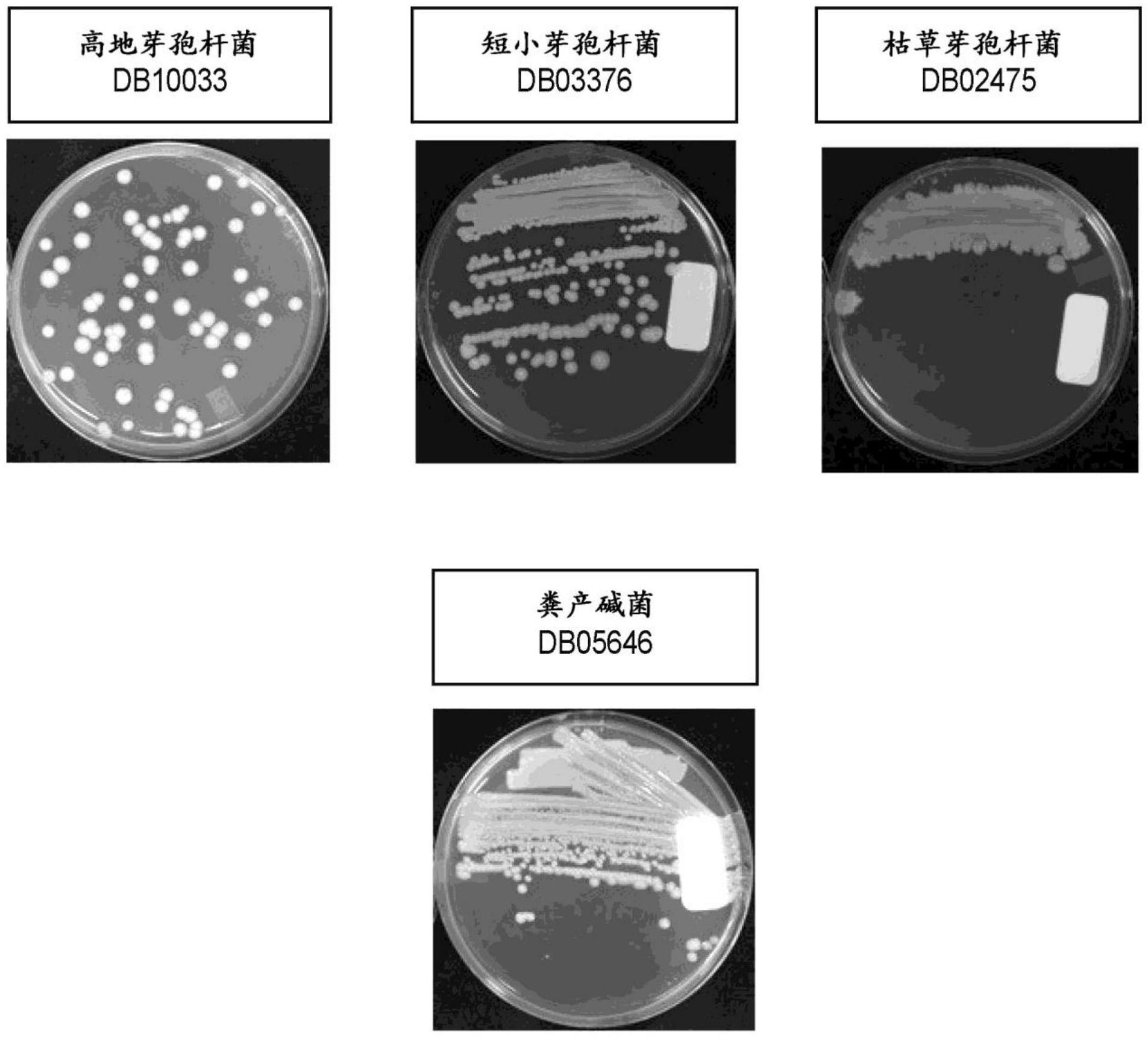 用于改善皮肤健康以及用于治疗和预防与真菌及其他病原微生物相关的疾病、病症和病况的组合物和方法与流程