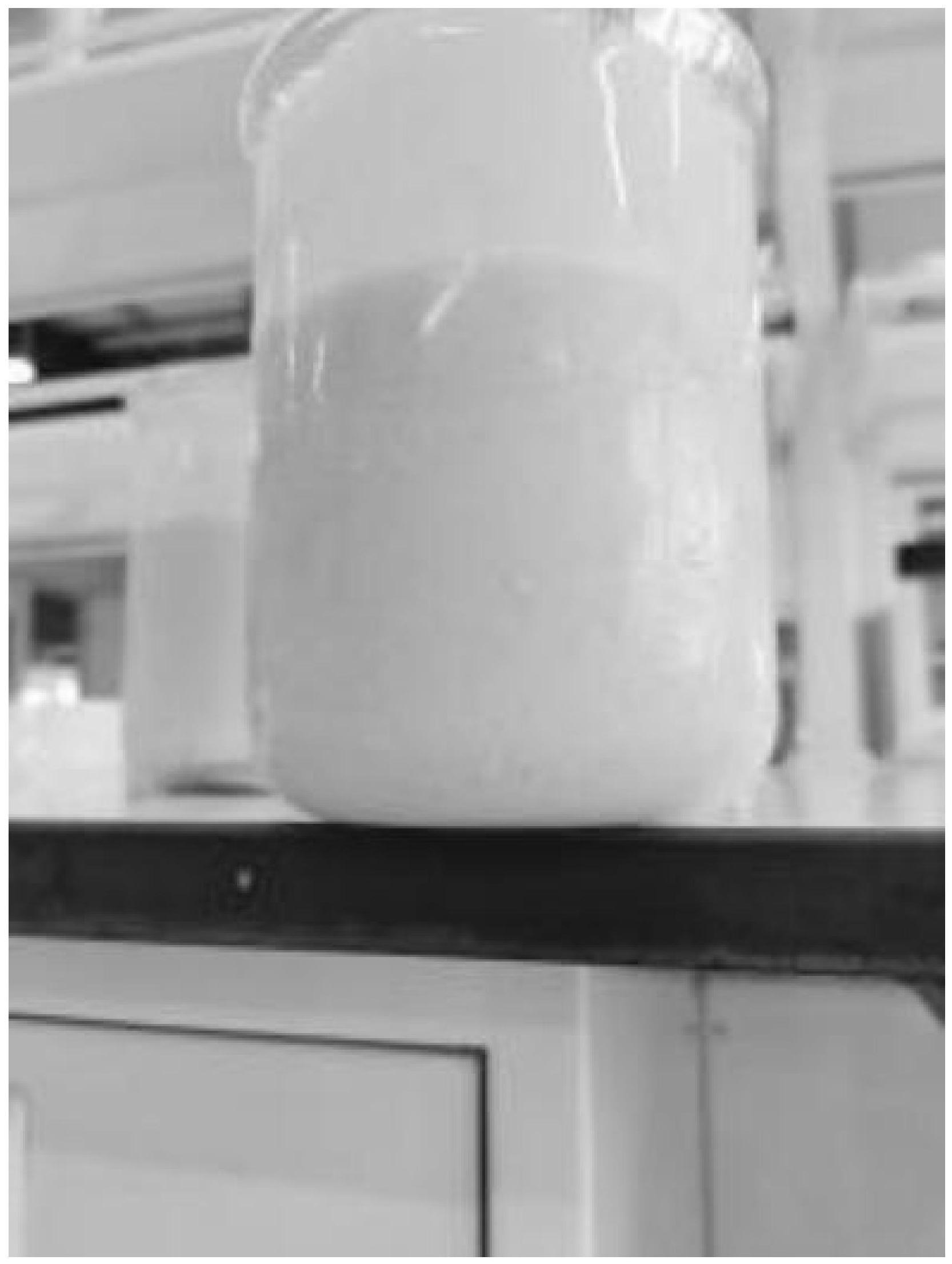 一种黑芝麻搅拌型酸奶及其制备方法与流程