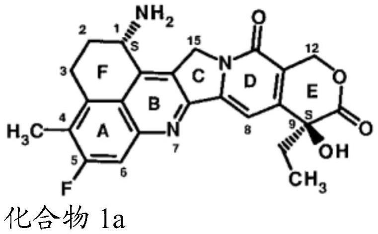 癌症的治疗的制作方法