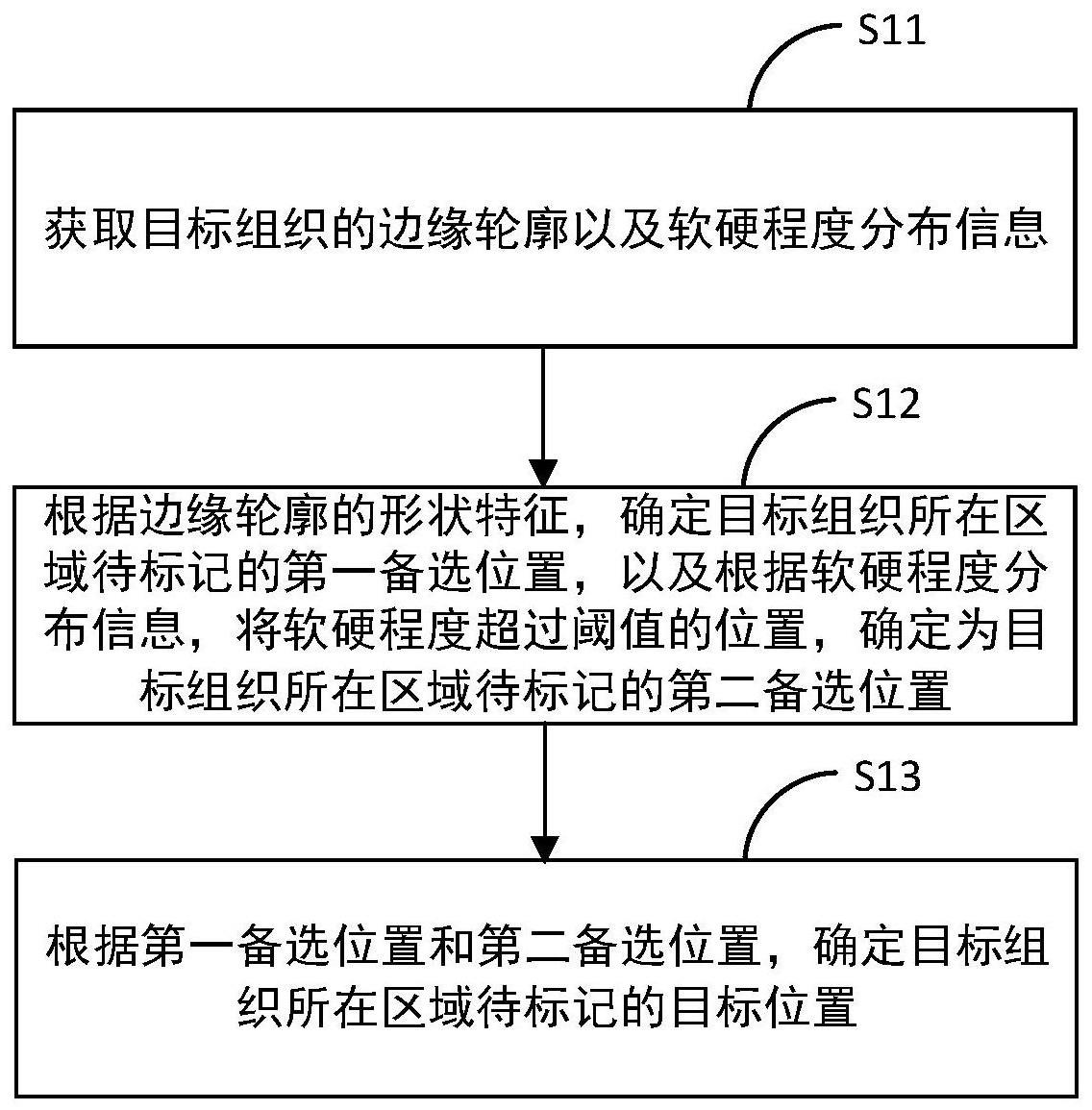 组织标记位置的确定方法、装置和存储介质与流程