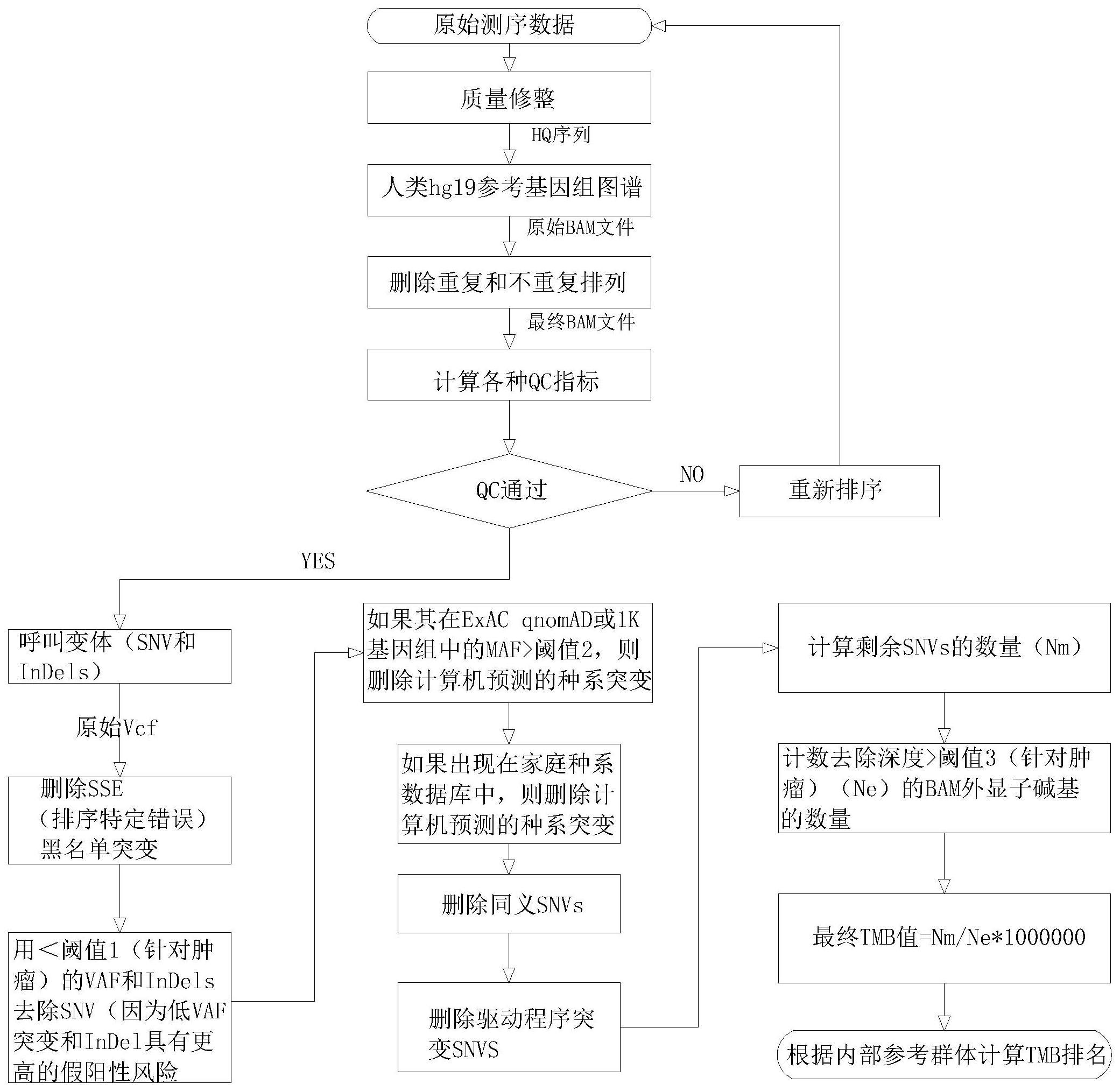 一种基于单样本的肿瘤突变负荷检测方法和装置与流程