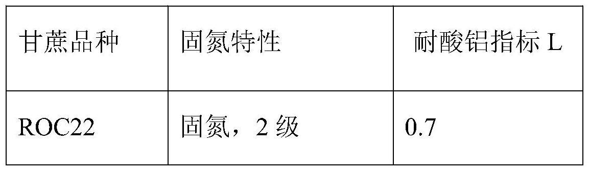 一种兼具固氮和耐酸铝特性的甘蔗种质资源评价和选育方法