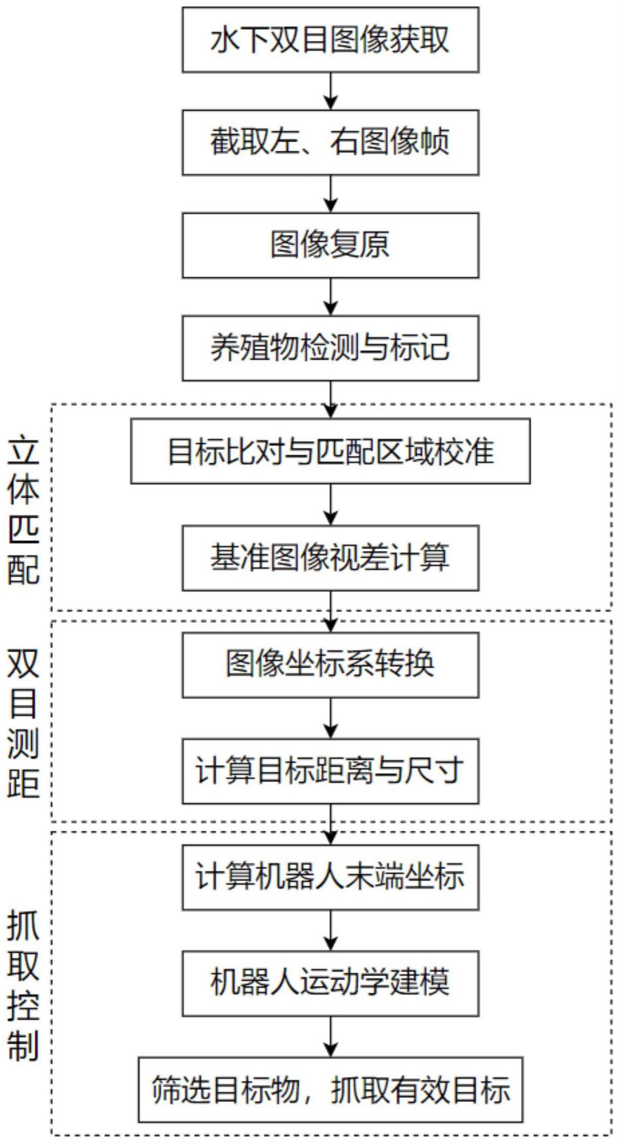 一种水下养殖物检测与抓取方法及装置