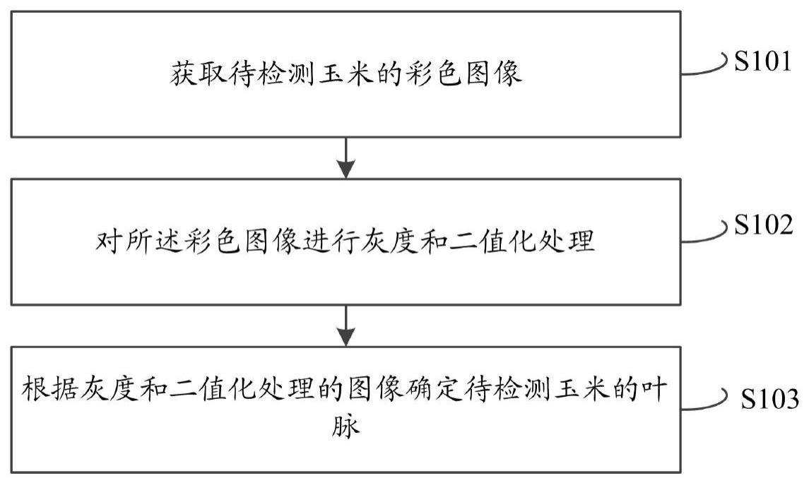 一种玉米叶脉检测方法、系统及设备