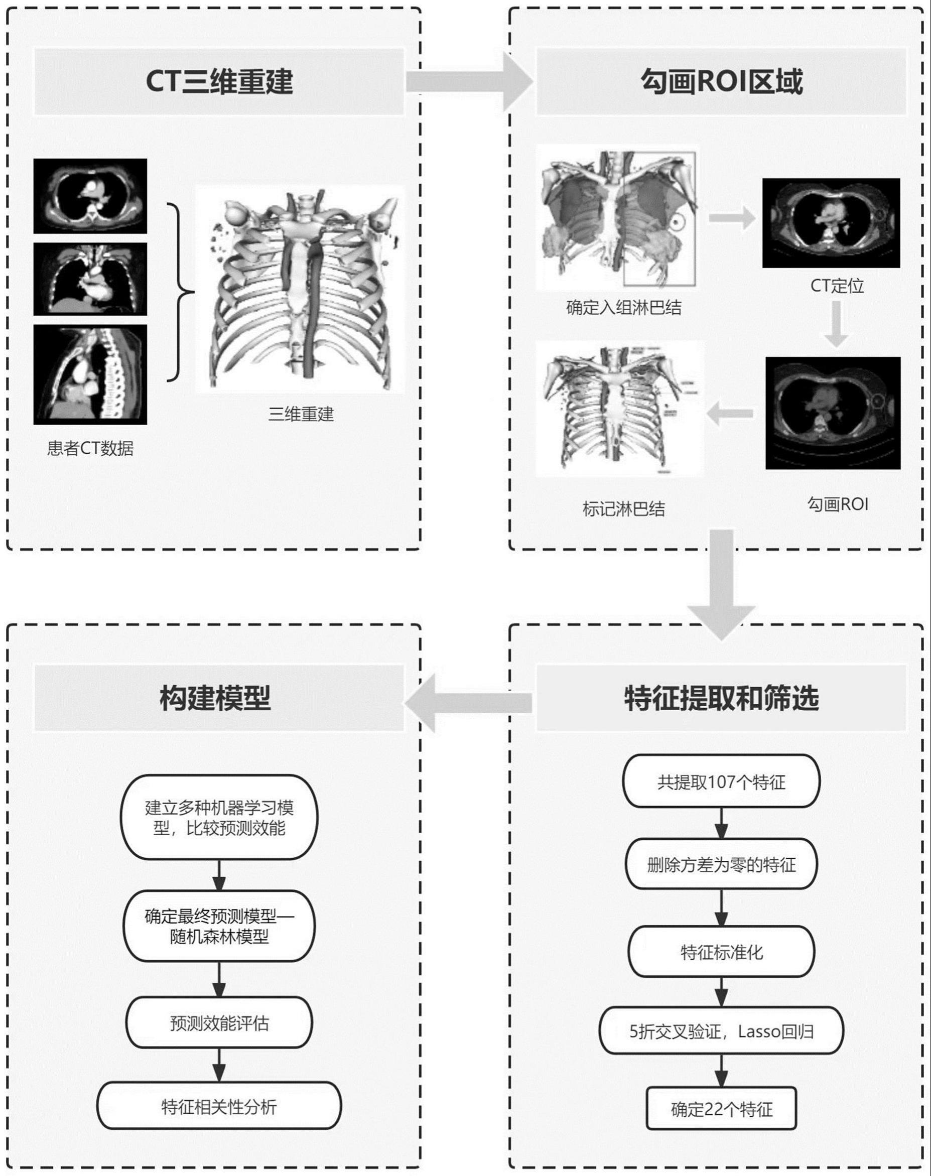 乳腺癌腋窝清扫解剖图图片