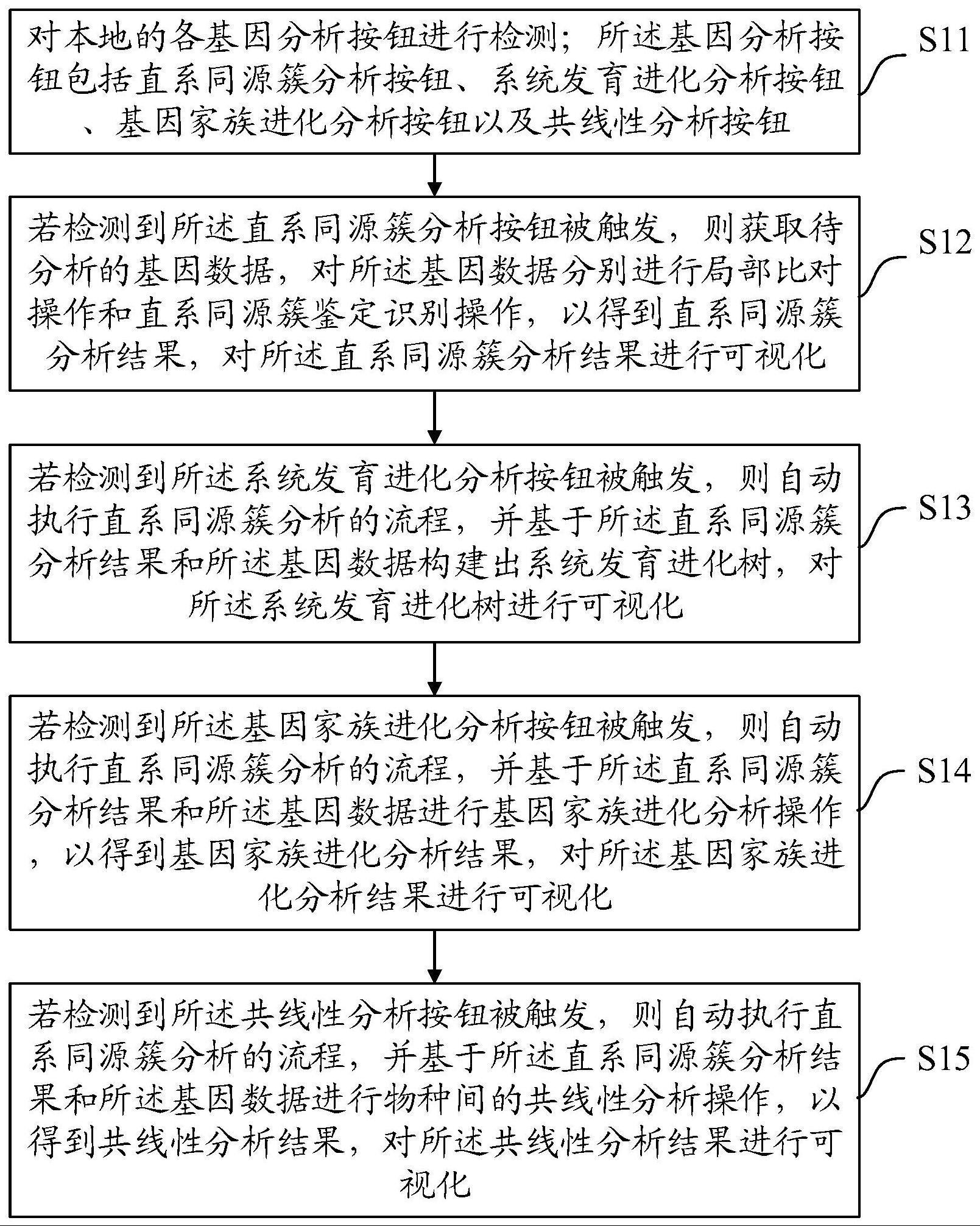 一种基因分析结果可视化方法、装置、设备及介质