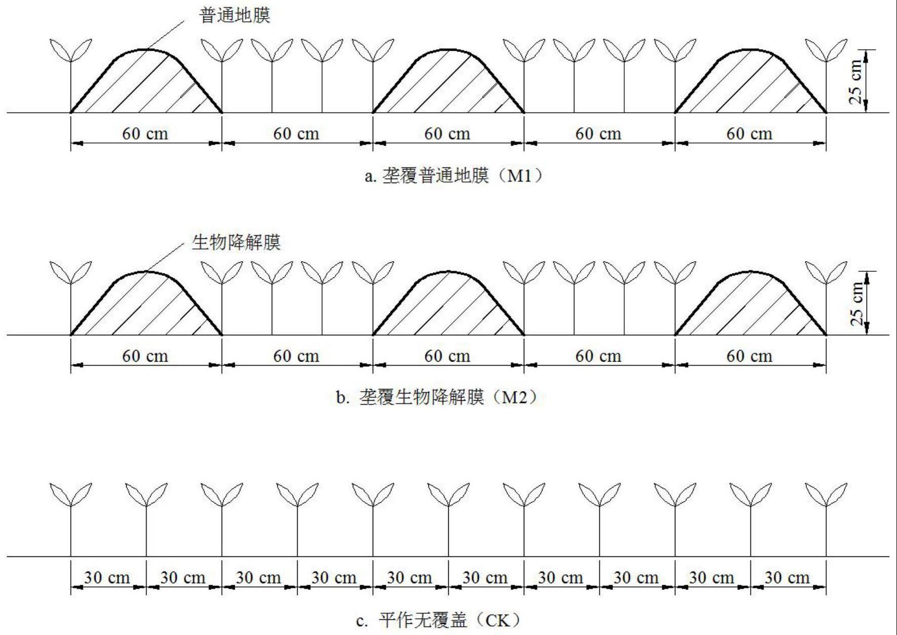 一种苜蓿种植方法