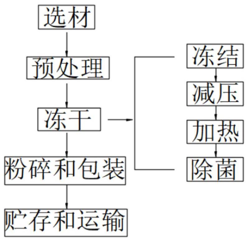 一种提高益生菌成活的冻干粉工艺的制作方法