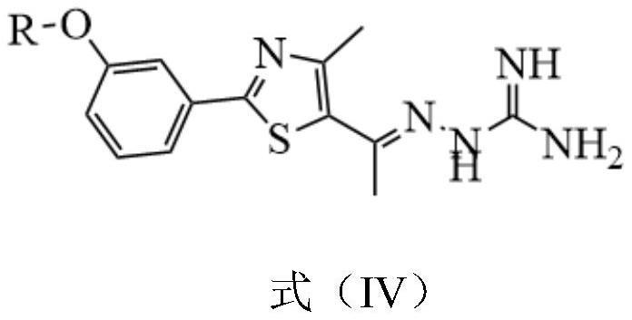 2-苯基-4-甲基噻唑类化合物及其制备方法和应用