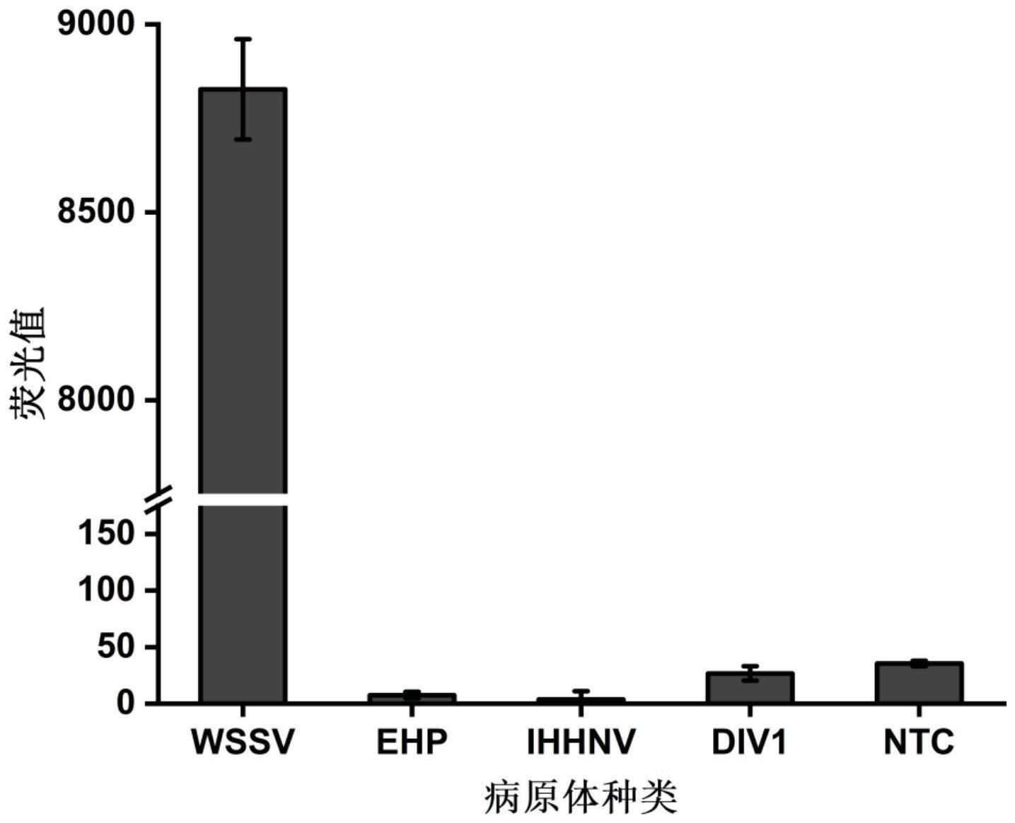 一种用于对白斑综合征的基于LAMP-CRISPR/Cas12b的微流控检测方法