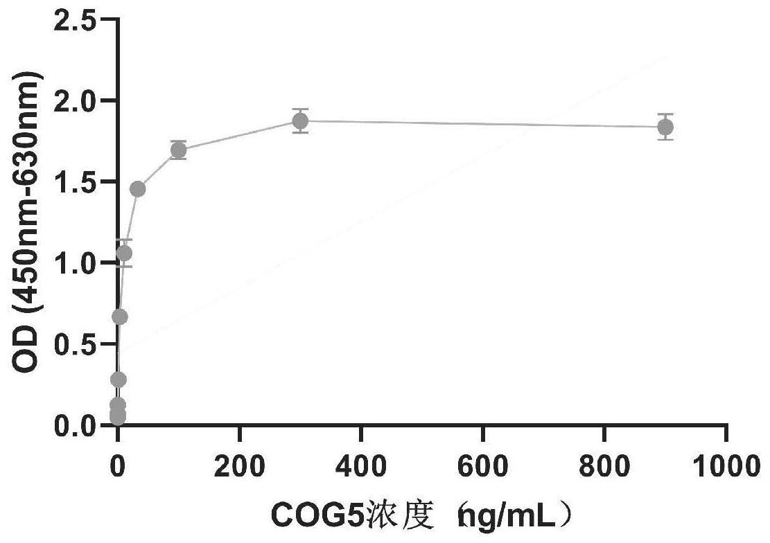 一种特异性多克隆抗体检测COG5的间接ELISA方法