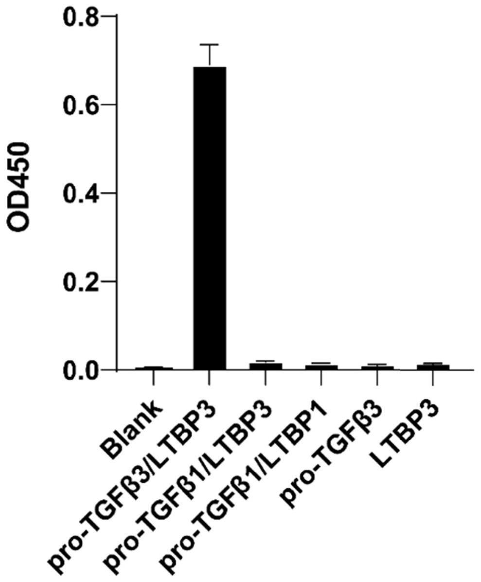 特异性靶向人pro-TGFβ3/LTBP3复合物的纳米抗体