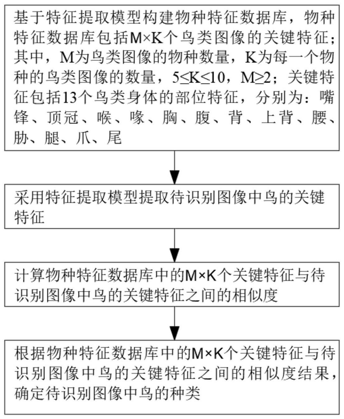 一种减少样本量的AI鸟类识别方法与流程