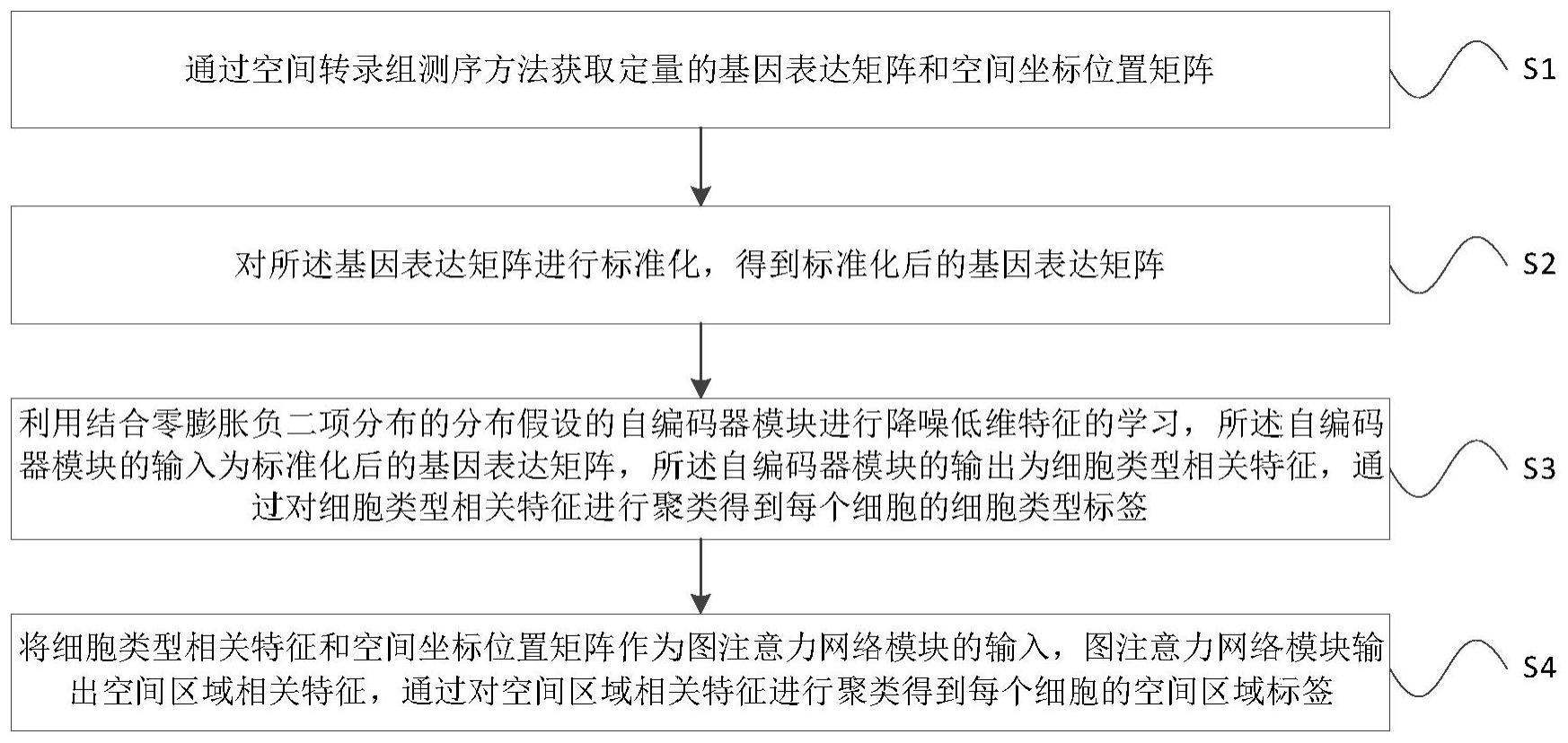 一种识别空间转录组空间区域和细胞类型的特征学习方法