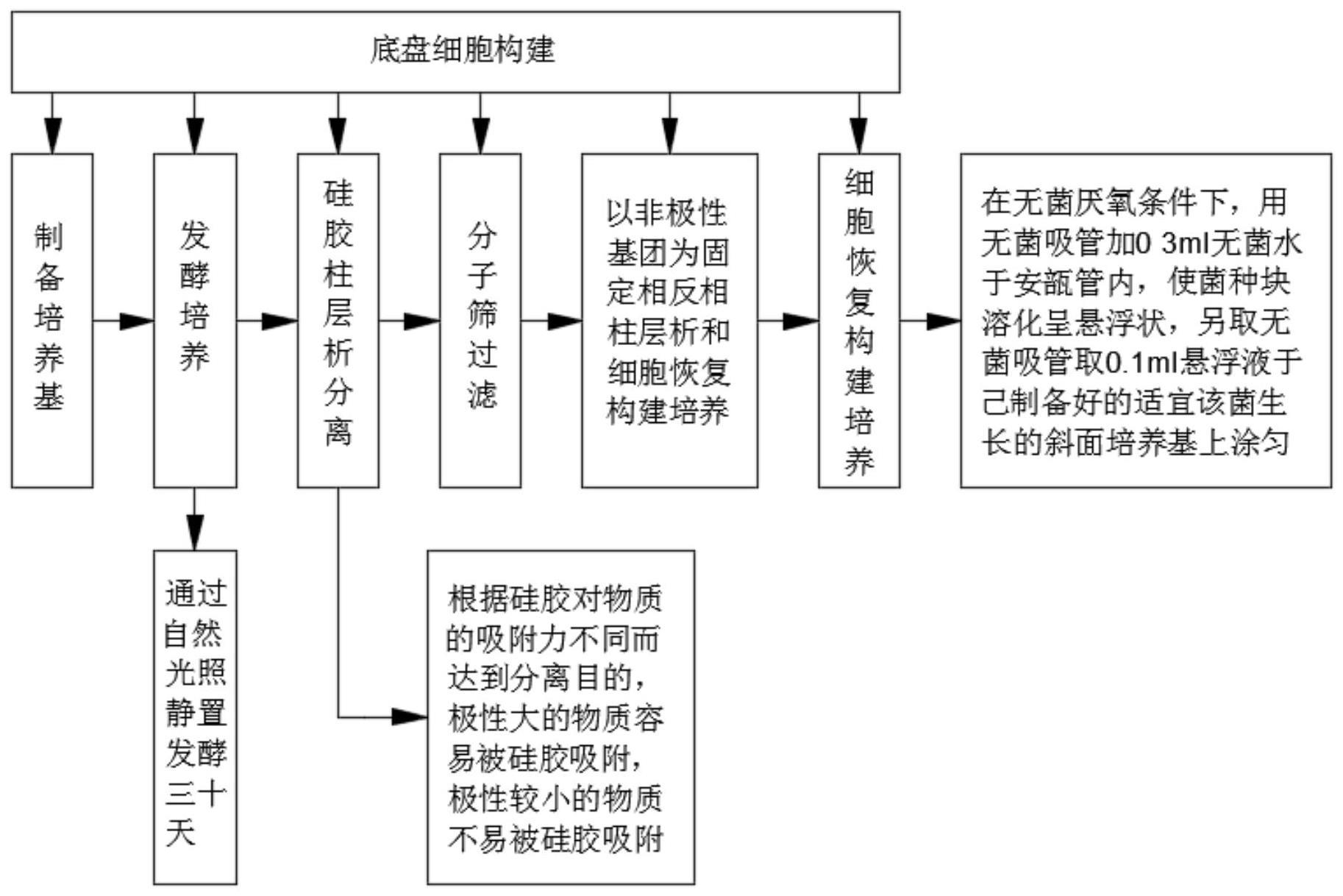 一种构巢曲霉底盘细胞构建的方法