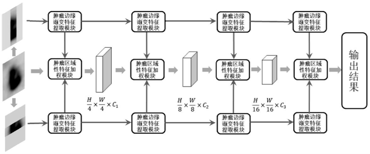 基于Transformer的PET/CT瘤周特征提取系统及提取方法