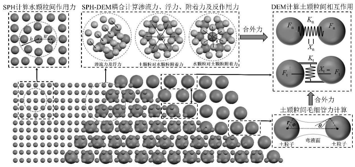 基于SPH-DEM算法的土石坝漫顶溃决模拟方法与流程