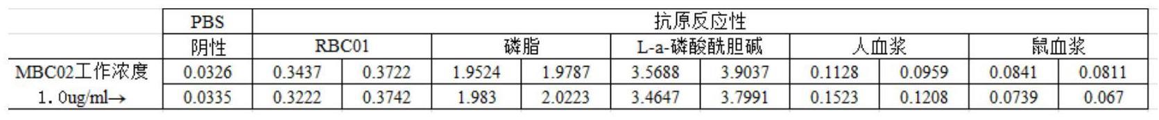 抗磷脂酰胆碱抗体及制备方法与可变区序列及应用与流程