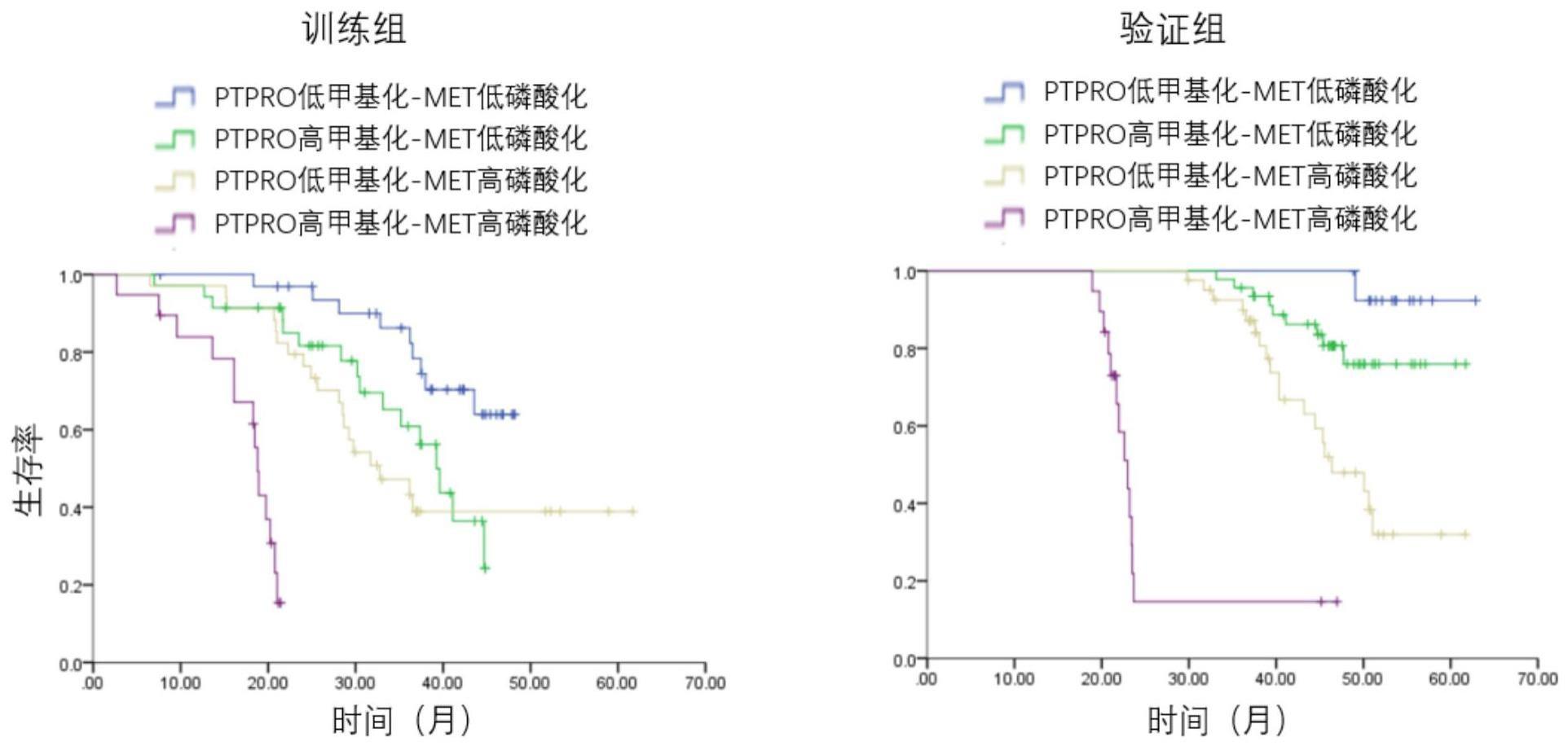 磷酸化MET和甲基化PTPRO作为生物标志物的应用
